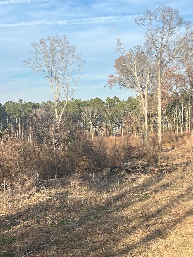 000 Jowers, Whigham, GA 39897