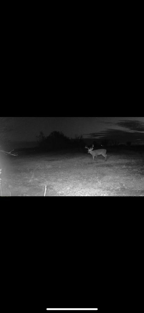 000 Jowers, Whigham, GA 39897