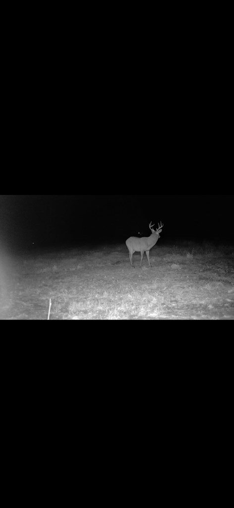 000 Jowers, Whigham, GA 39897