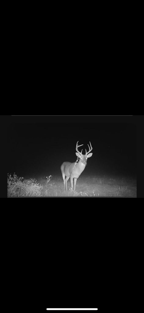 000 Jowers, Whigham, GA 39897