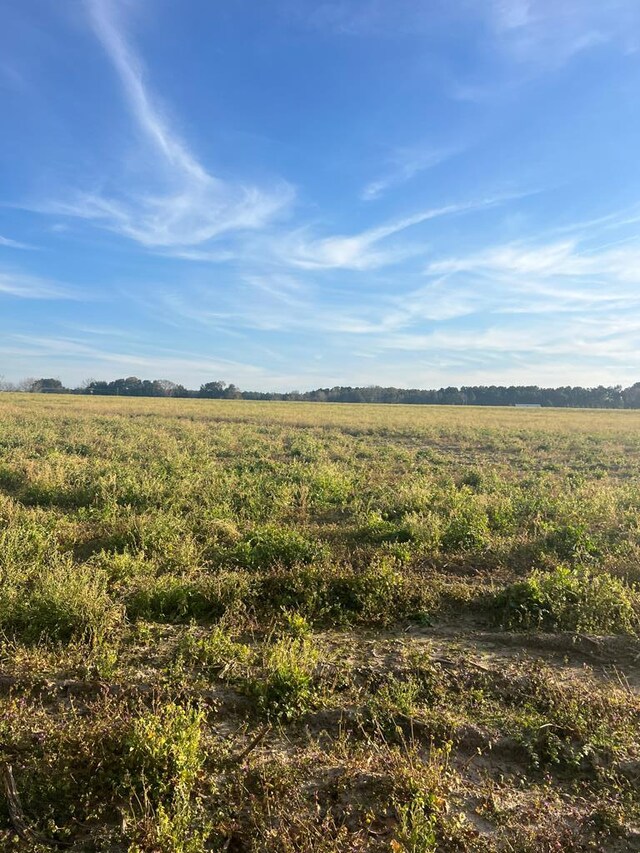 000 Jowers, Whigham, GA 39897