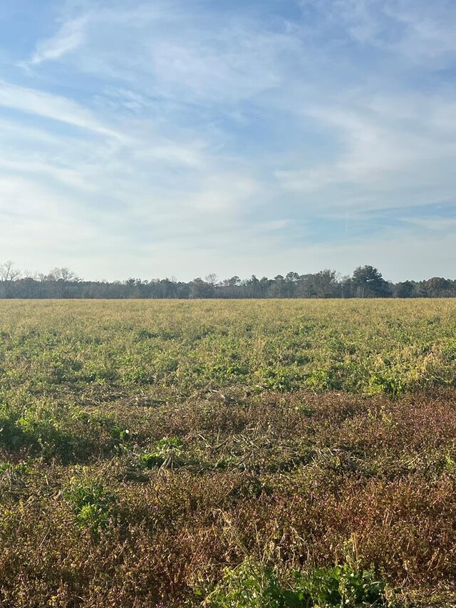 000 Jowers, Whigham, GA 39897