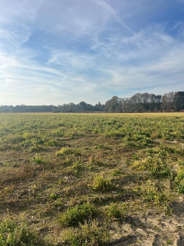 000 Jowers, Whigham, GA 39897