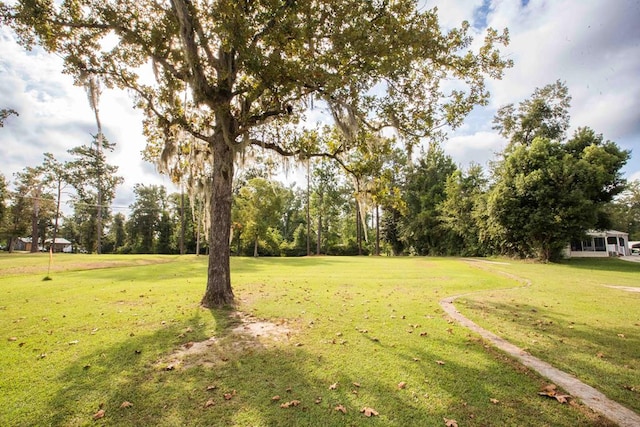 179 Azalea Cir, Bainbridge, GA 39819 - view of green lawn featuring view of scattered trees