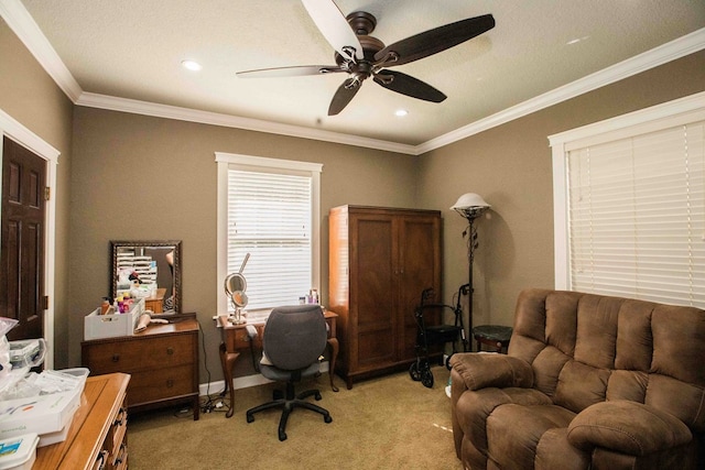 carpeted office with ceiling fan and ornamental molding