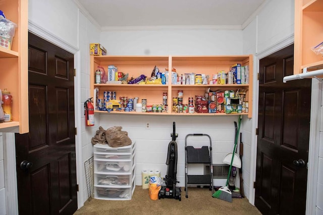 179 Azalea Cir, Bainbridge, GA 39819 - view of storage area