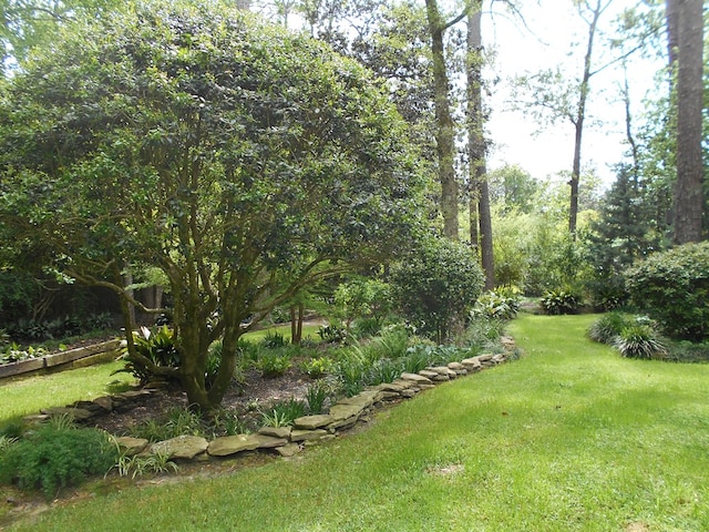 1490 Magnolia Dr, Cairo, GA 39828 - view of yard