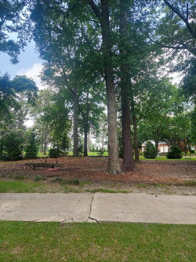 1490 Magnolia Dr, Cairo, GA 39828 - view of yard