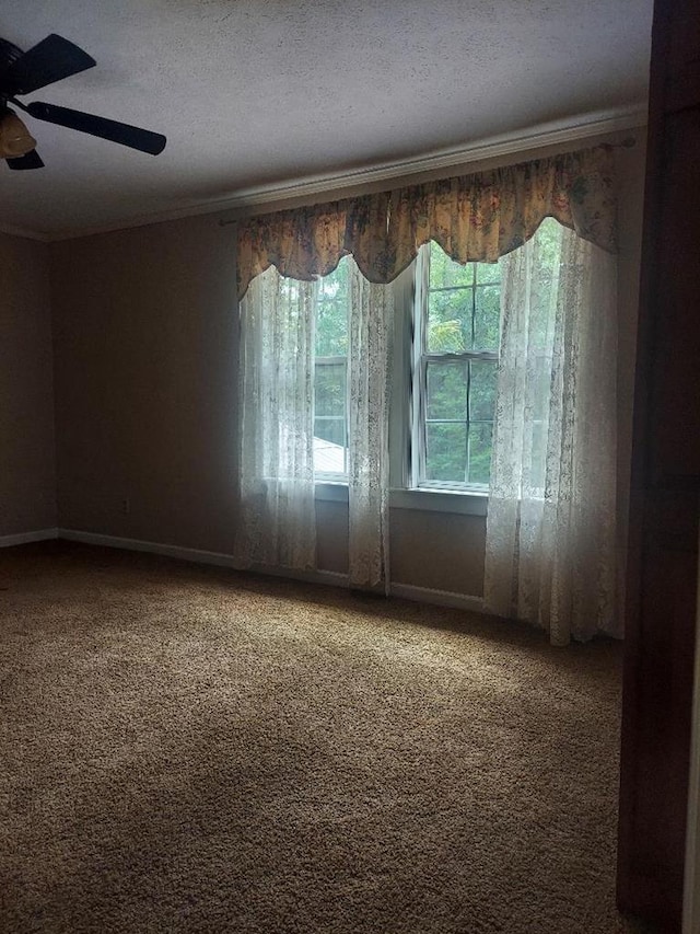 1490 Magnolia Dr, Cairo, GA 39828 - carpeted empty room with crown molding, ceiling fan, and a textured ceiling