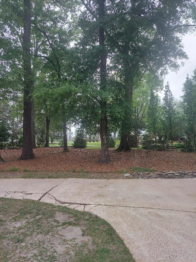 1490 Magnolia Dr, Cairo, GA 39828 - view of yard