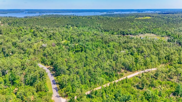 93ACRES Dell Rd, Bainbridge, GA 39819