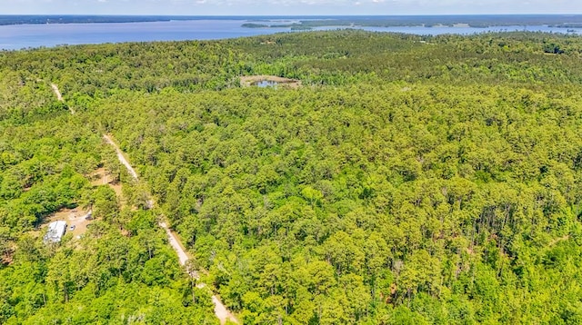 93ACRES Dell Rd, Bainbridge, GA 39819