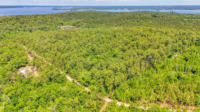 93ACRES Dell Rd, Bainbridge, GA 39819