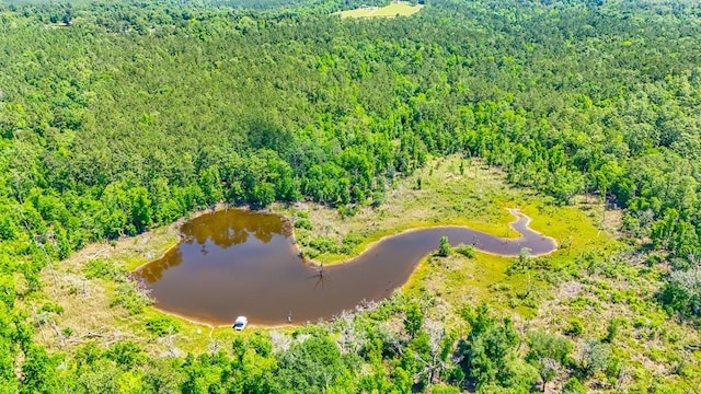 93ACRES Dell Rd, Bainbridge, GA 39819