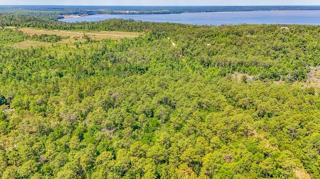 93ACRES Dell Rd, Bainbridge, GA 39819