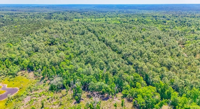 93ACRES Dell Rd, Bainbridge, GA 39819
