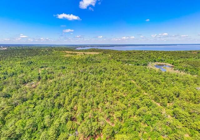 93ACRES Dell Rd, Bainbridge, GA 39819