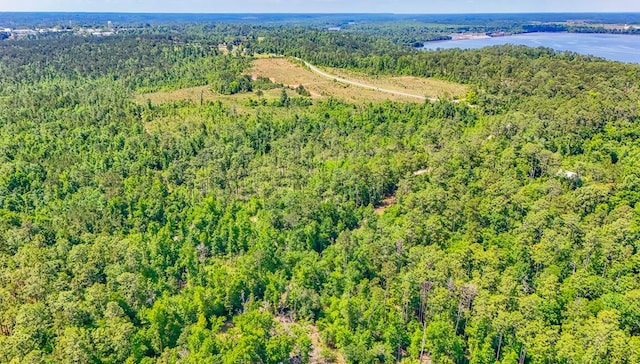 93ACRES Dell Rd, Bainbridge, GA 39819