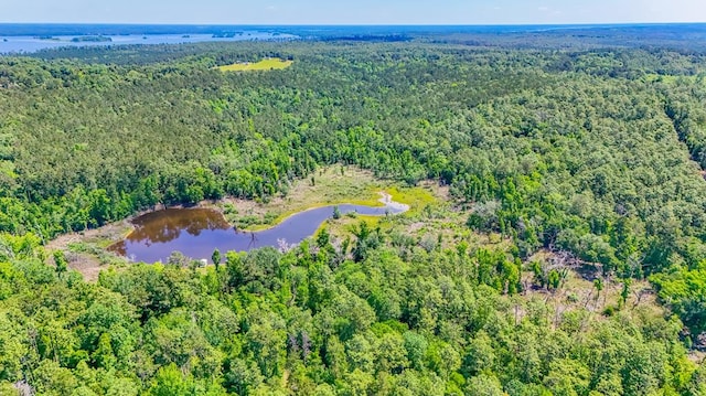 93ACRES Dell Rd, Bainbridge, GA 39819
