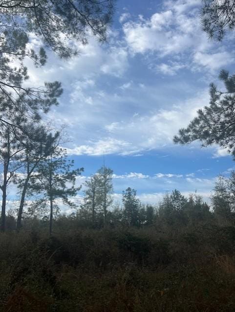 000 Rich Rd, Bainbridge GA, 39819 land for sale