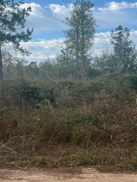 Listing photo 2 for 000 Rich Rd, Bainbridge GA 39819