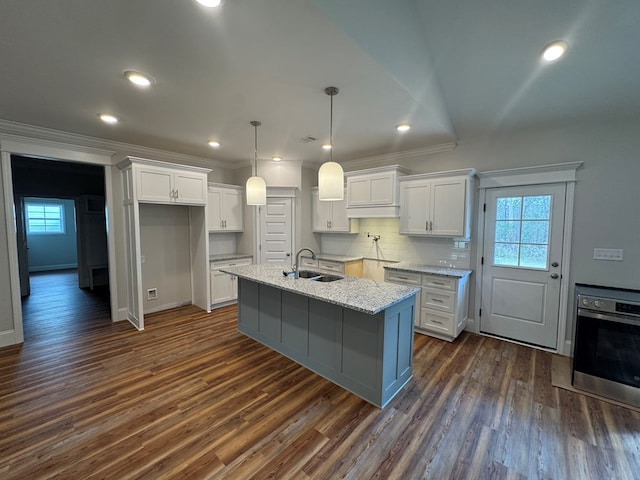 kitchen with dark wood finished floors, a sink, stainless steel oven, and white cabinets