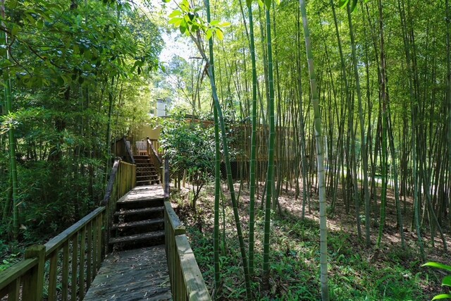 407 Lakeshore Dr, Bainbridge, GA 39819 - surrounding community with a wooden deck and stairs