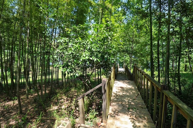 407 Lakeshore Dr, Bainbridge, GA 39819 - exterior space
