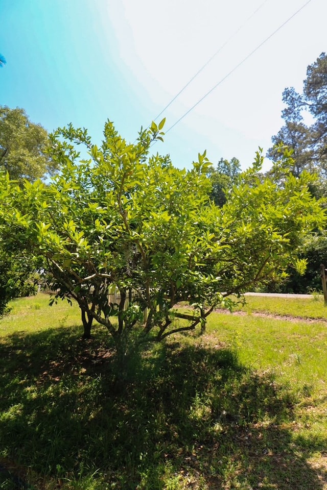 407 Lakeshore Dr, Bainbridge, GA 39819 - view of landscape