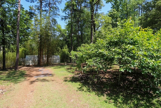 407 Lakeshore Dr, Bainbridge, GA 39819 - view of road featuring dirt driveway