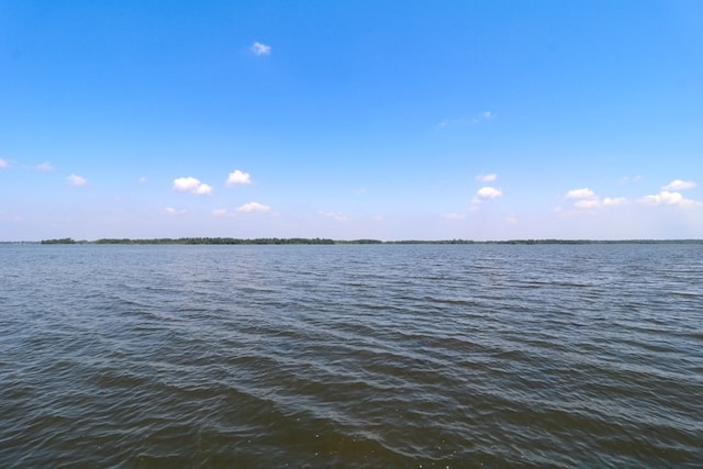 407 Lakeshore Dr, Bainbridge, GA 39819 - water view