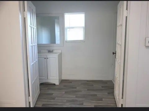 bathroom featuring vanity and wood-type flooring