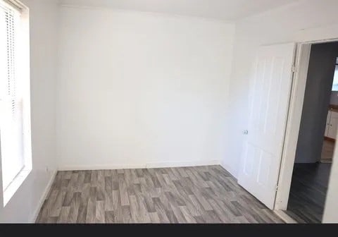 empty room with plenty of natural light and light wood-type flooring