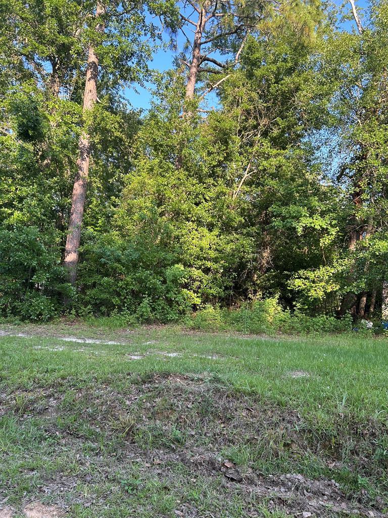 2781 SW Dr Unit 46/L, Donalsonville, GA 39845 - photo 1