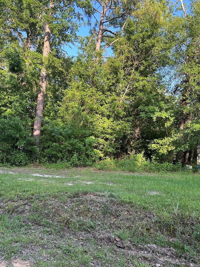 2781 SW Dr Unit 46/L, Donalsonville, GA 39845 - photo 1