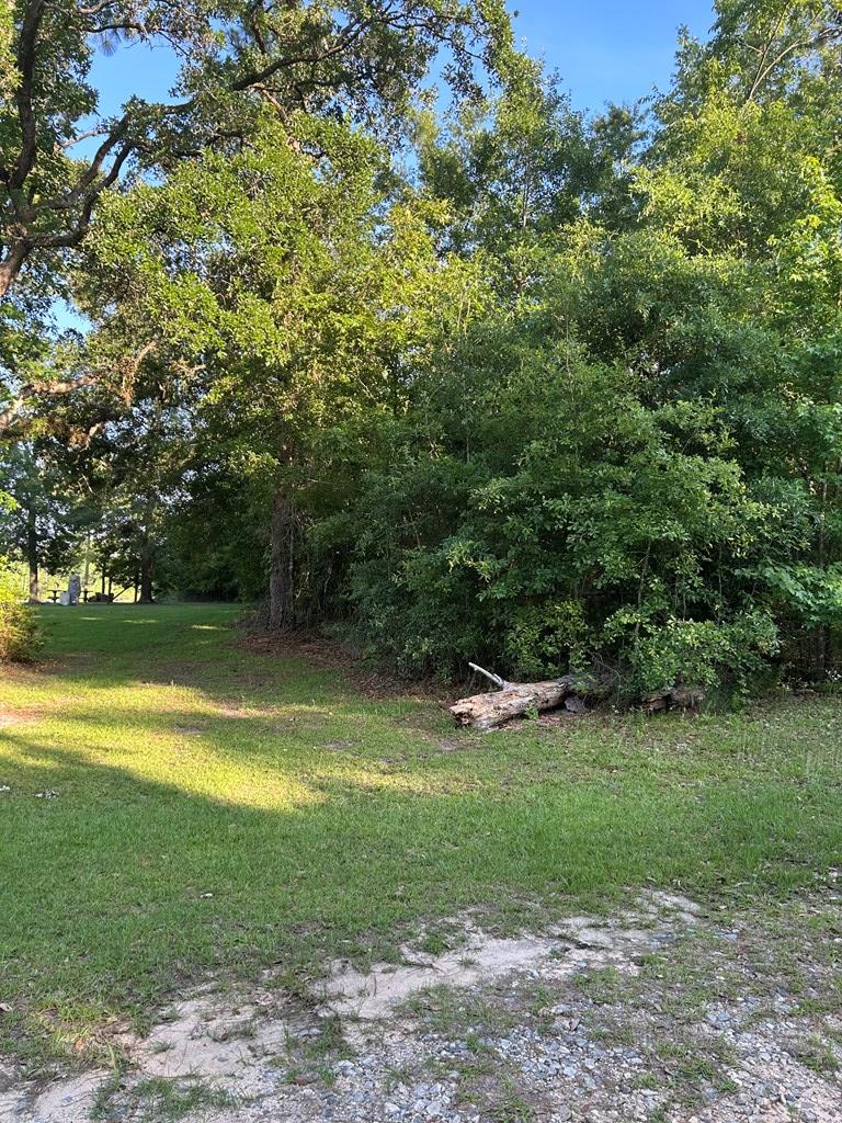 2781 SW Dr Unit 46/L, Donalsonville, GA 39845 - photo 2