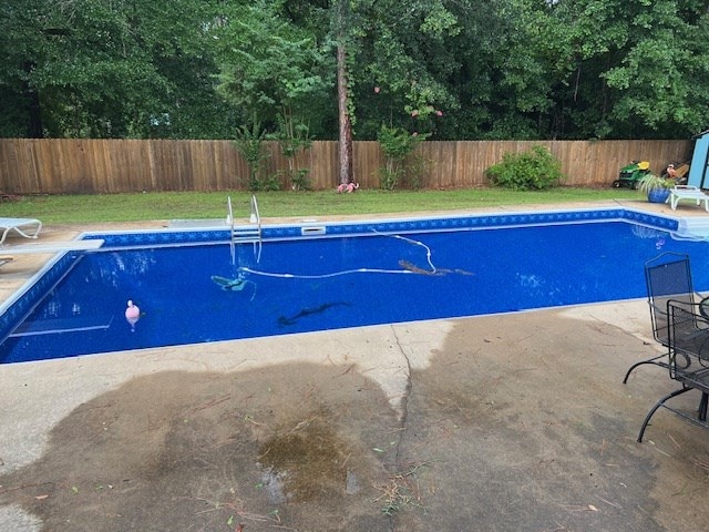1002 Willis St, Bainbridge, GA 39819 - view of swimming pool featuring a diving board, a fenced backyard, and a patio
