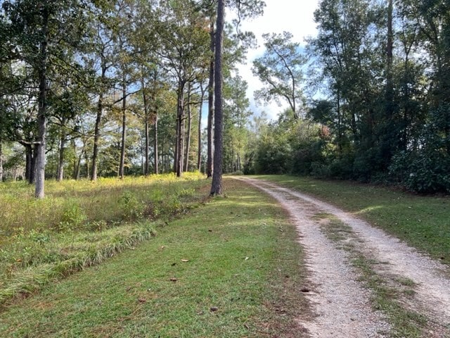 view of road