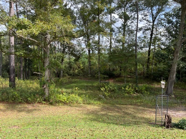 267 Providence Rd, Whigham, GA 39897 - view of nature