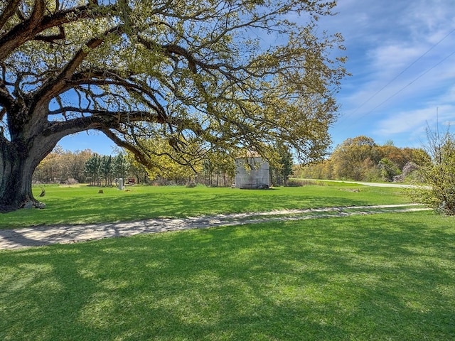 810 Three Notch Rd, Colquitt, GA 39837 - view of yard