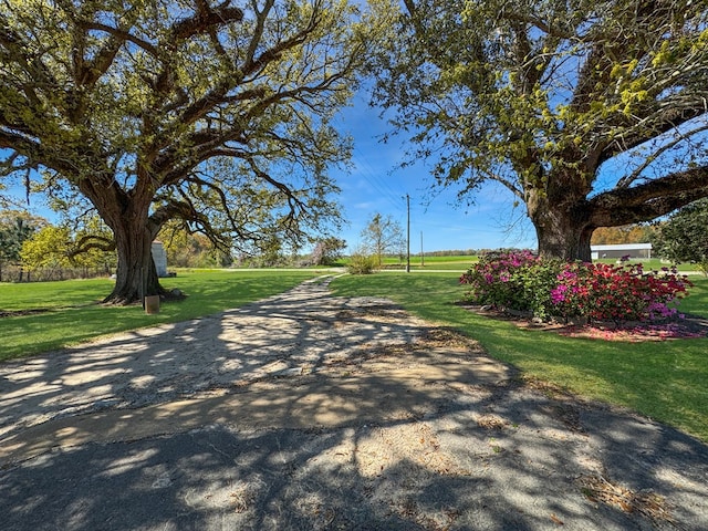 810 Three Notch Rd, Colquitt, GA 39837 - view of community with a lawn
