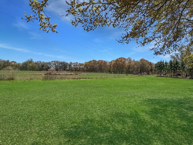 810 Three Notch Rd, Colquitt, GA 39837 - view of yard with a rural view