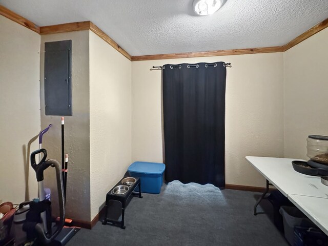 810 Three Notch Rd, Colquitt, GA 39837 - carpeted home office featuring electric panel, a textured ceiling, baseboards, and a textured wall