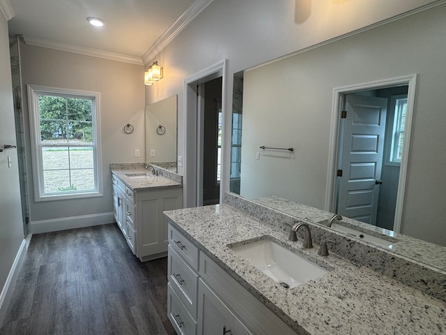 bathroom featuring crown molding, baseboards, two vanities, and a sink