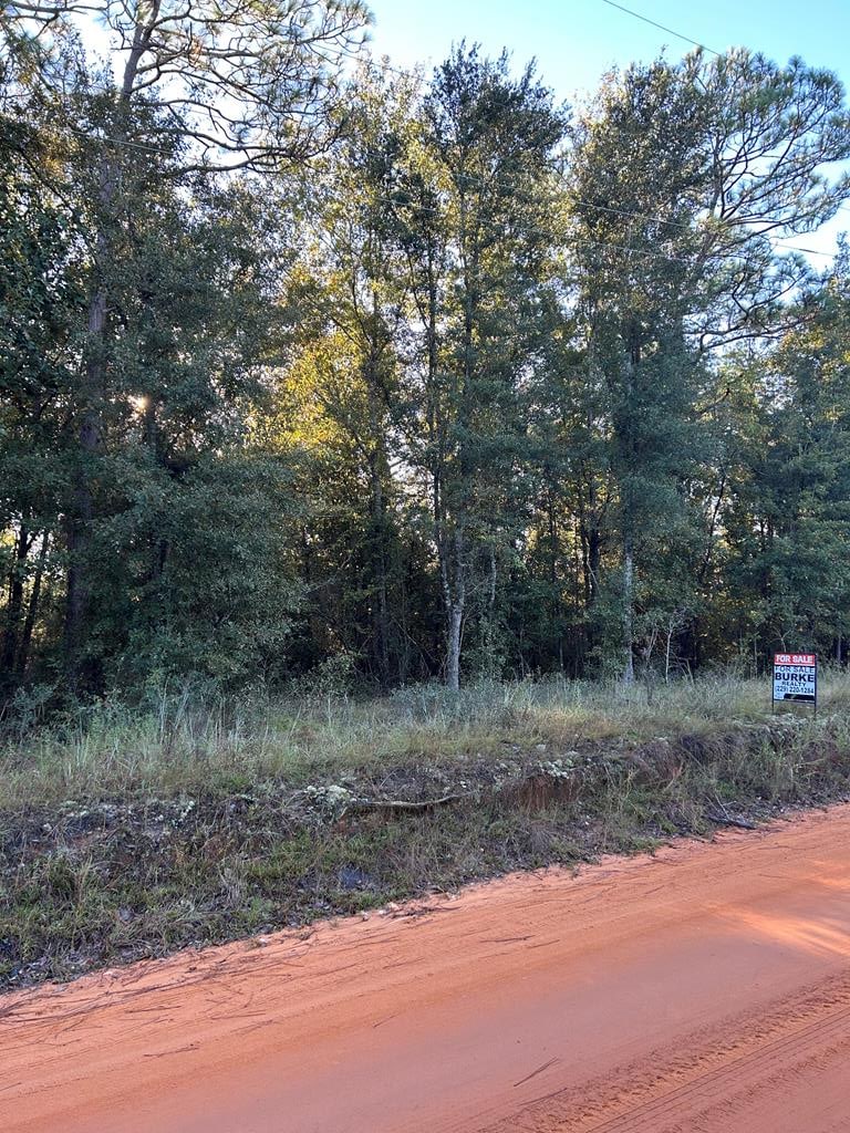 14 Paradise Dr, Donalsonville, GA 39845 - photo 1