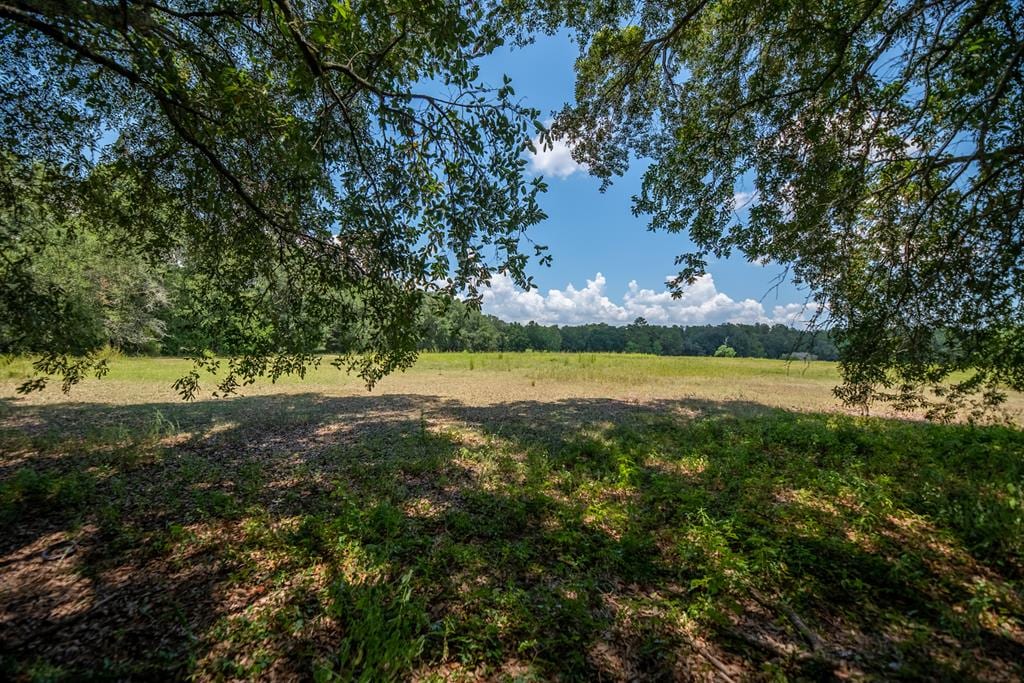 000 Griffin St, Bainbridge, GA 39817 - photo 1
