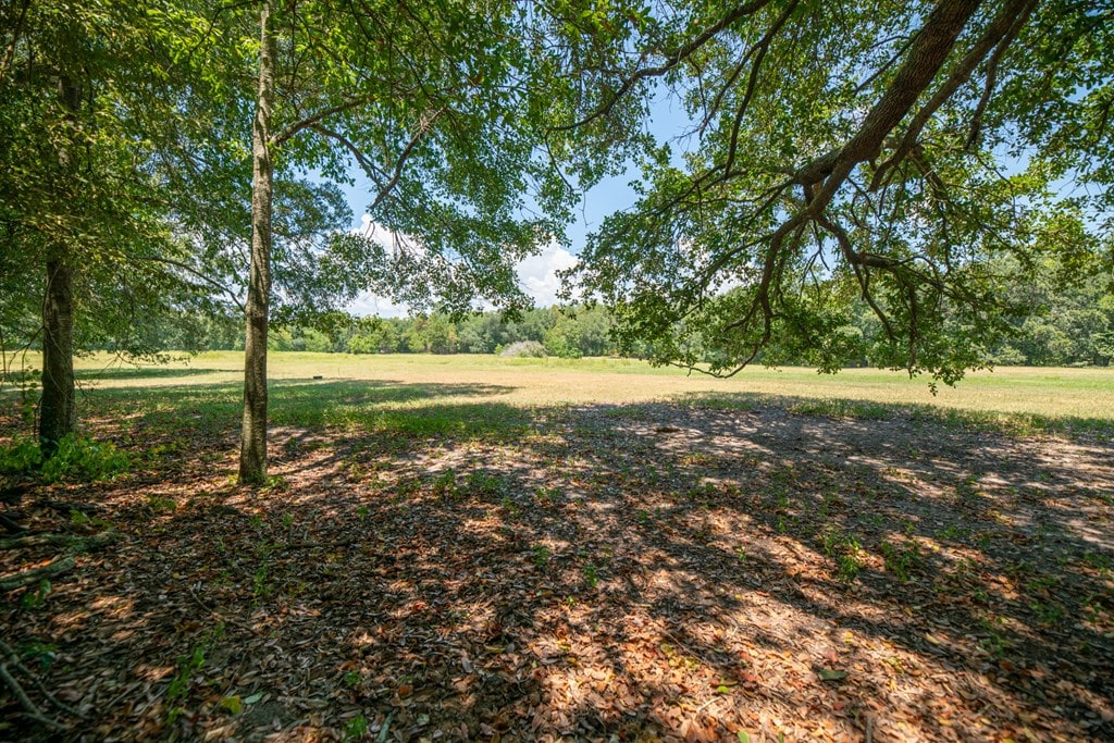 000 Griffin St, Bainbridge, GA 39817 - photo 2