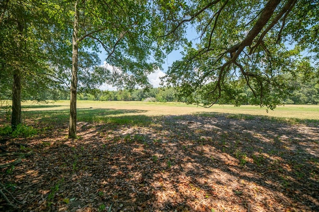 000 Griffin St, Bainbridge, GA 39817 - photo 2