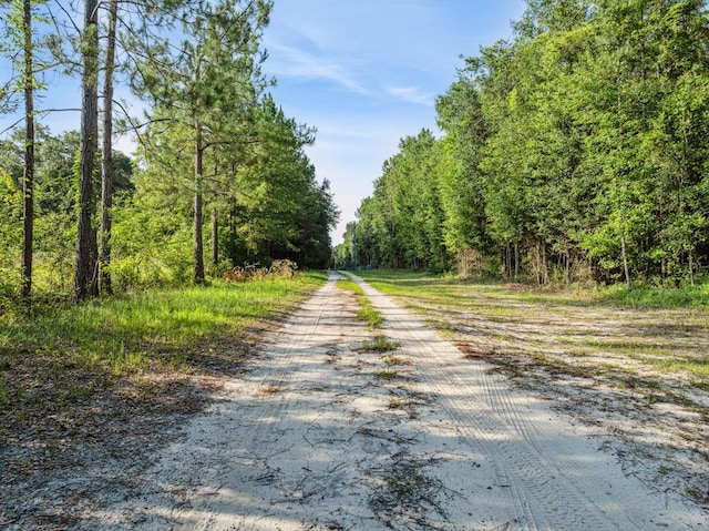 712 Blackberry Rd, Baconton, GA 31716 - photo 7