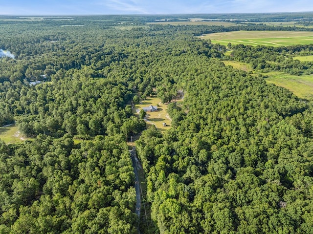 712 Blackberry Rd, Baconton, GA 31716 - photo 5